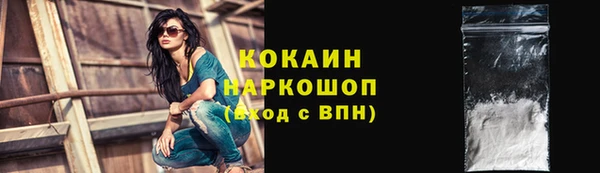 гидра Алексин